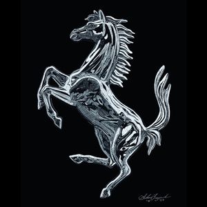 Meet your Posher, Cesar